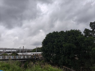 1000026257