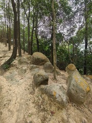 1000047316
