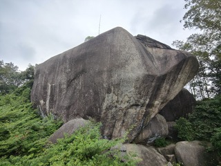 1000049088