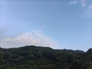 1000030362