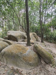 1000047336