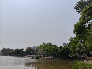 1000015475