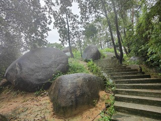 1000035552