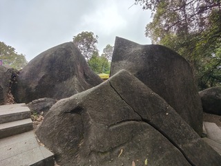 1000051430