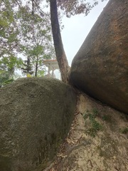 1000047234
