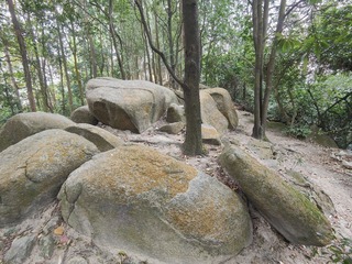 1000047338