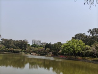 1000015427