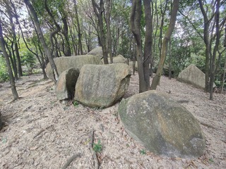 1000037459