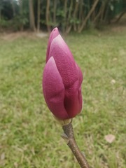1000073389