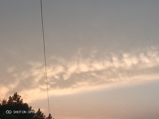 4199133