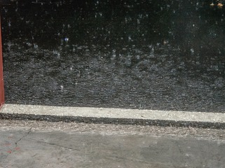 2C155EC6-F0A6-4A4B-B5A0-6FF9B88653A4/L0/001
