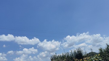 1000017213