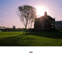 IMGP4154-2.jpg