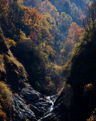 IMG_5984.jpg
