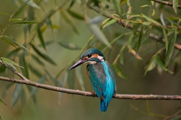 IMG_5000.jpg