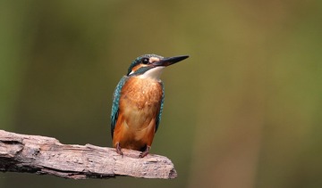 IMG_5122.jpg