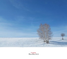 IMG_1882.jpg