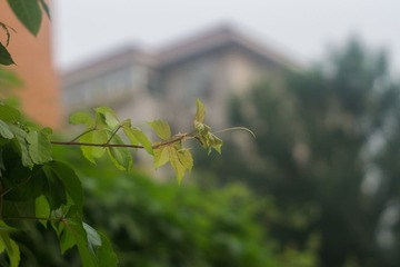 DSC00897.jpg