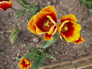 P1000834.JPG