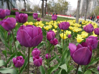 P1000839.JPG