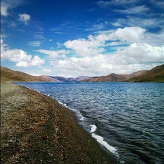 vida_1349329252425.jpg