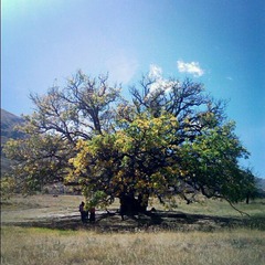 vida_1349414049594.jpg