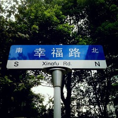vida_1350118333336.jpg