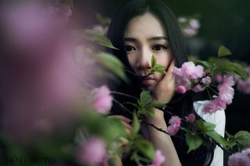 DSC01953a