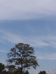 1830