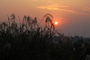 IMG_4203.JPG