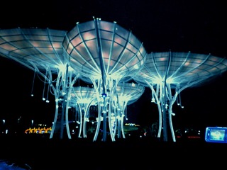 PA010280_