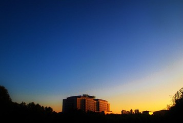 P7020824