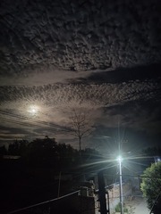 1000002972