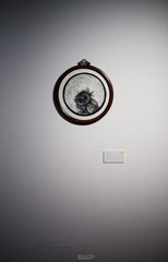 IMG_4351.jpg