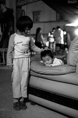 IMG_8527.jpg