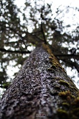 IMG_4503.jpg