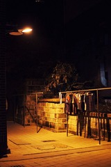 IMG_7372.jpg