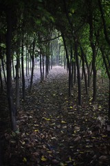 IMG_7568.jpg