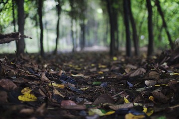 IMG_7569.jpg