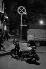IMG_7848.jpg