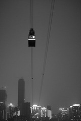 IMG_7916.jpg