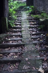 IMG_8309.jpg