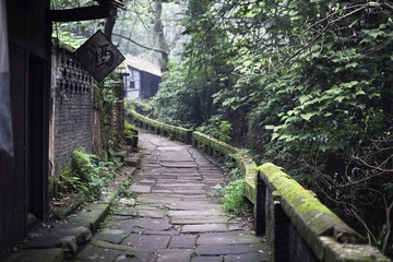 IMG_8310.jpg