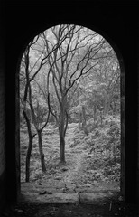 IMG_8348.jpg