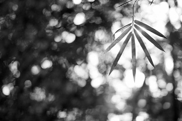 IMG_9524.jpg