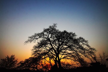 IMG_0669.JPG