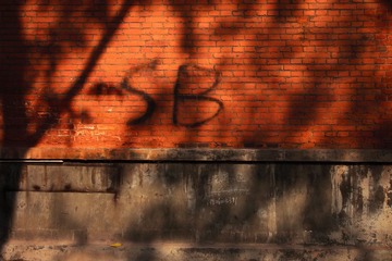 IMG_1434.JPG