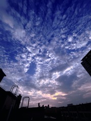 E0AA9549-FB0B-4429-8619-77C79A71D3D6/L0/001