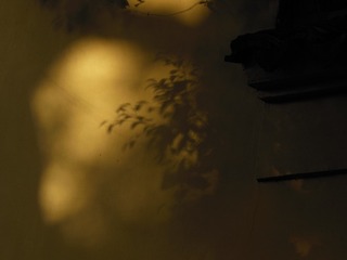 81978153-0BAE-4702-BB0D-05728D402C4E/L0/001