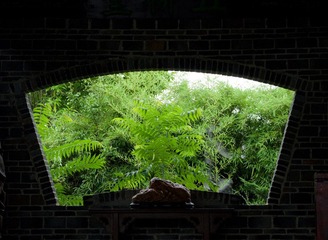 IMGP1321.jpg